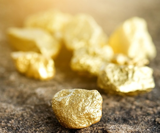 Bookfusion Gold Plan